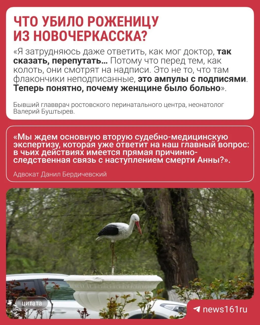 Первая судебно-медицинская экспертиза установила, что женщине во время схваток ввели транексамовую кислоту вместо эпидуральной анестезии. Это привело к тяжёлым осложнениям, поражению головного мозга, коме и смерти.