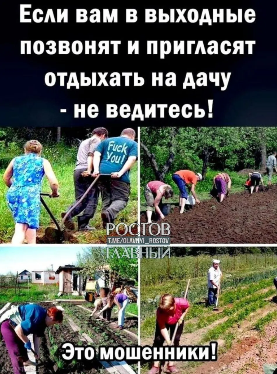 Врачи предупреждают: резкий переход от малоподвижного образа жизни к многочасовой физической работе на участке повышает риск мышечных спазмов, «прострелов» и обострения хронических проблем с позвоночником.