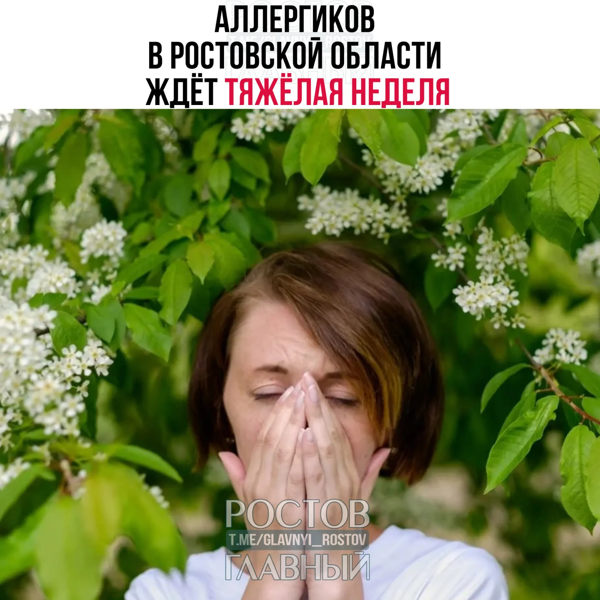 Аллергикам рекомендуют ограничить пребывание на улице в ветреную и сухую погоду, носить медицинские маски и принять меры по снижению контакта с аллергенами в помещениях.