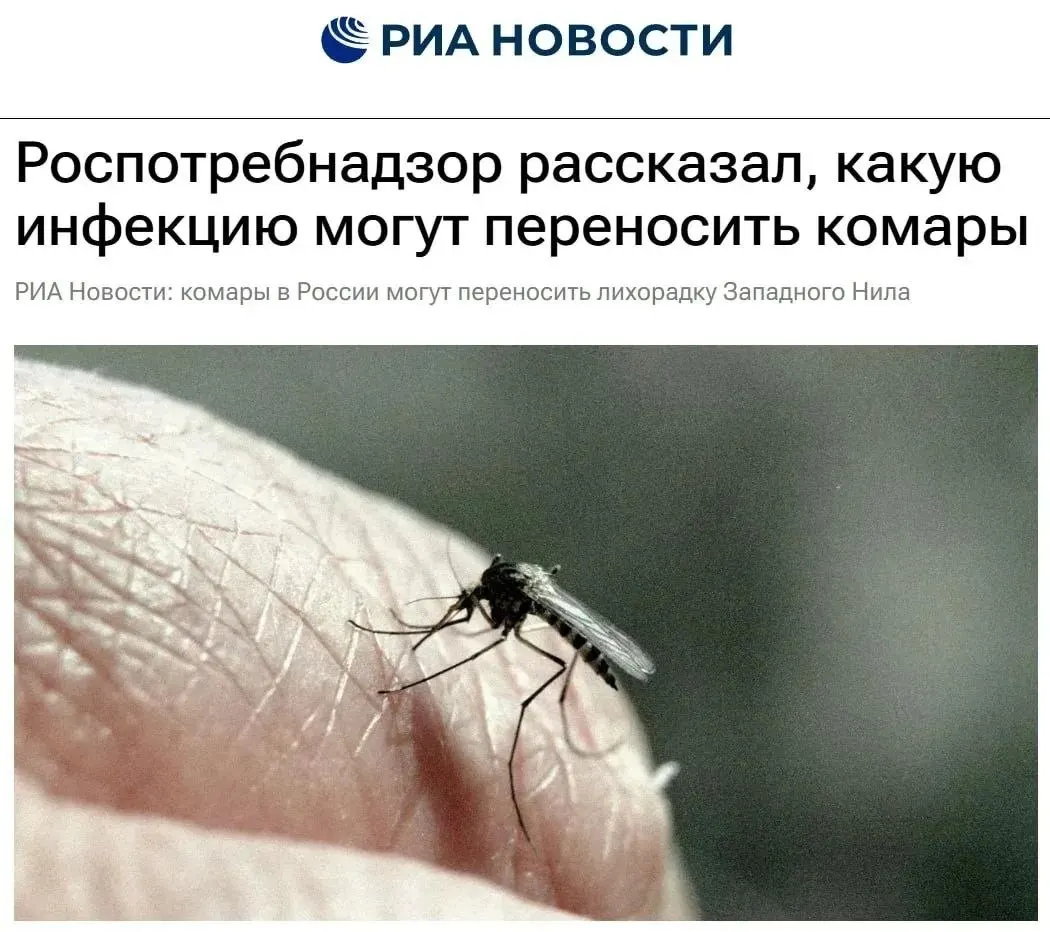 В ведомстве предупредили о риске передачи вируса москитами и дали рекомендации — репелленты, москитные сетки, закрытая одежда и устранение стоячей воды вокруг домов.