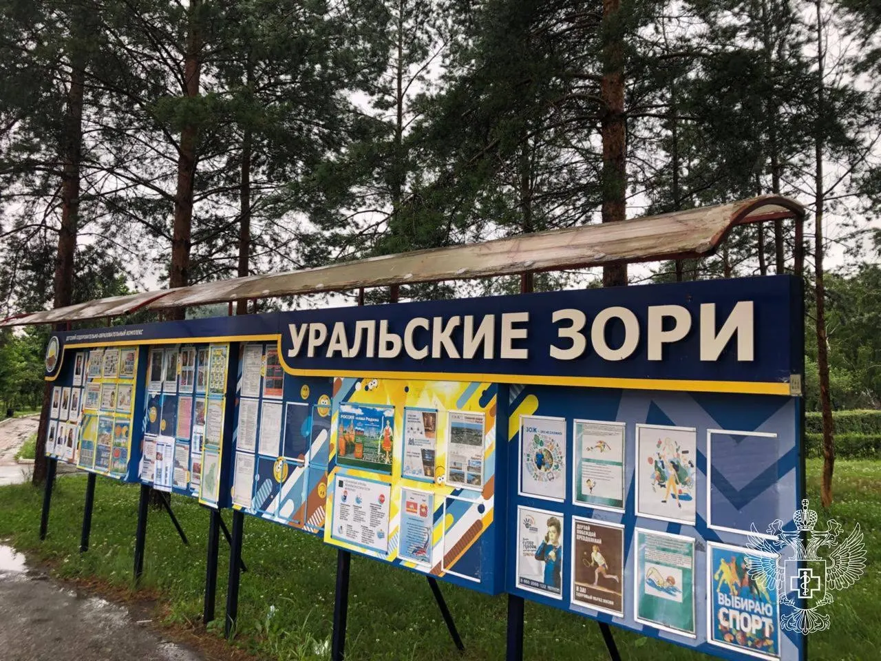 Участники форума в лагере на озере Банном пожаловались на тошноту, рвоту и диарею. Очевидцы называют до 40 заболевших, официальные власти сообщают о пяти случаях; пострадавших изолировали, госпитализация не требуется.