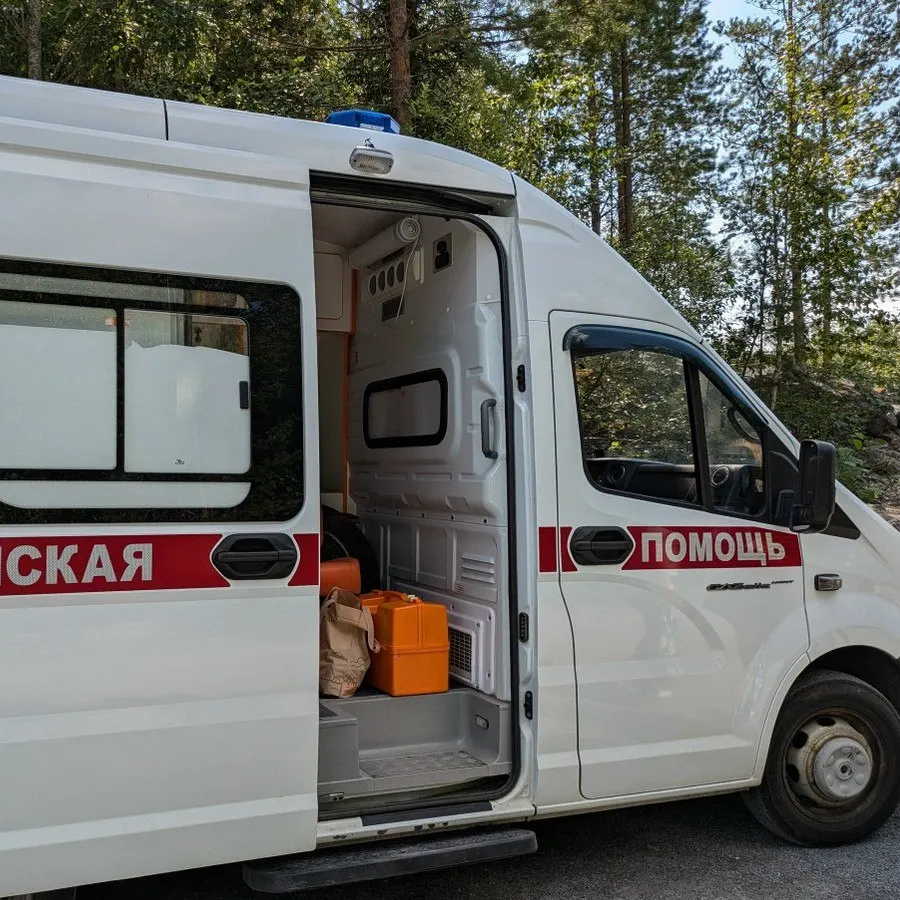 Вечером 20 мая в микрорайоне Соломенное на остановке «Конечная» алабай набросился на подростка. Мальчик получил многочисленные раны, ему наложили швы и назначили курс антирабической вакцины; семья намерена обратиться в суд к хозяйке собаки.