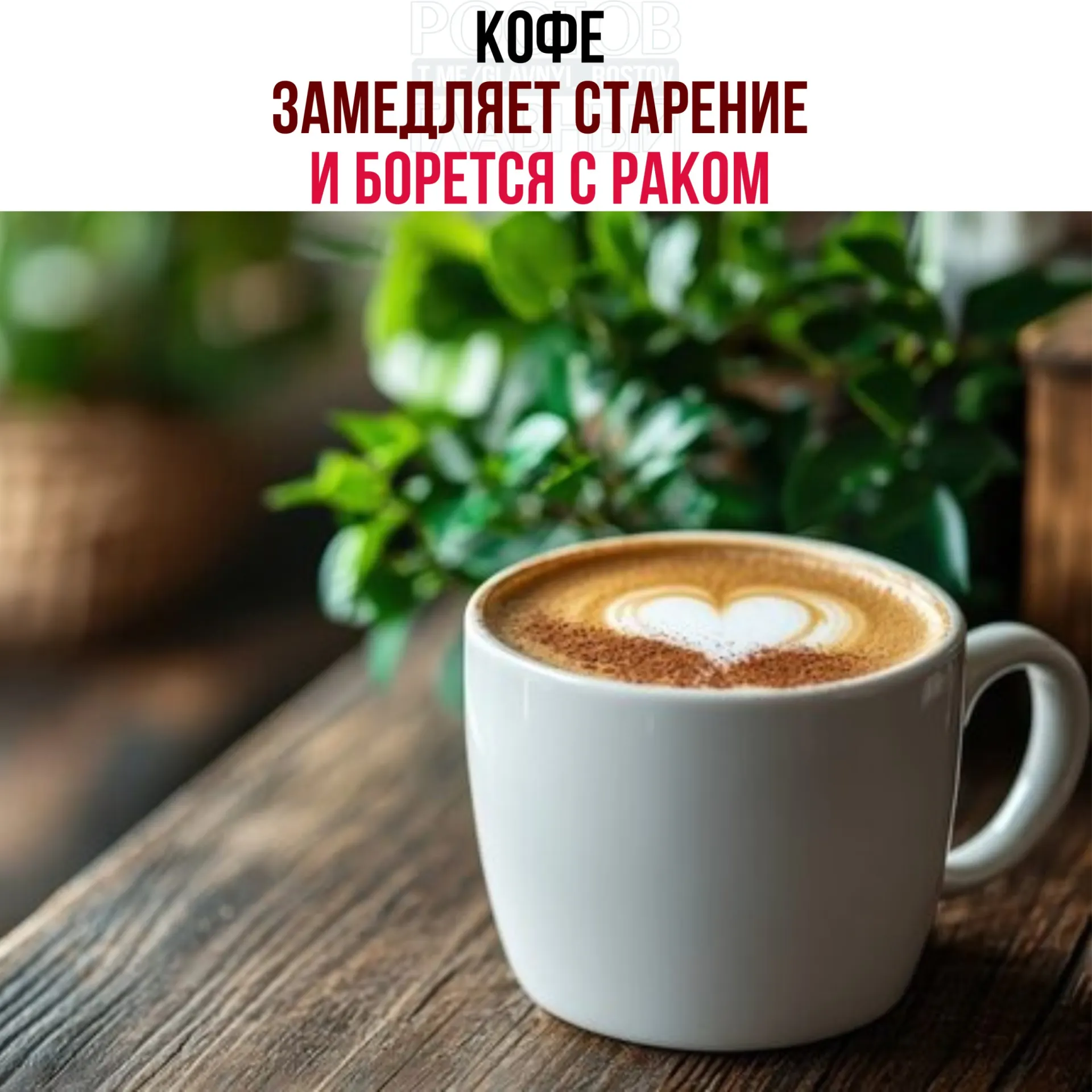 Исследователи выяснили, что в кофейных зё̈рнах содержатся кислоты и полифенолы, усиливающие работу белка NR4A1 — это снижает воспаление, ускоряет восстановление тканей и замедляет рост раковых клеток.
