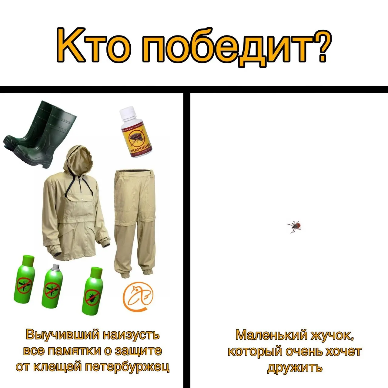 За семь дней в Санкт-Петербурге и Ленинградской области зарегистрировали свыше 1,5 тысячи обращений из‑за укусов клещей; почти 400 пострадавших — дети. Подтверждены четыре случая боррелиоза, случаев клещевого энцефалита не зафиксировано.