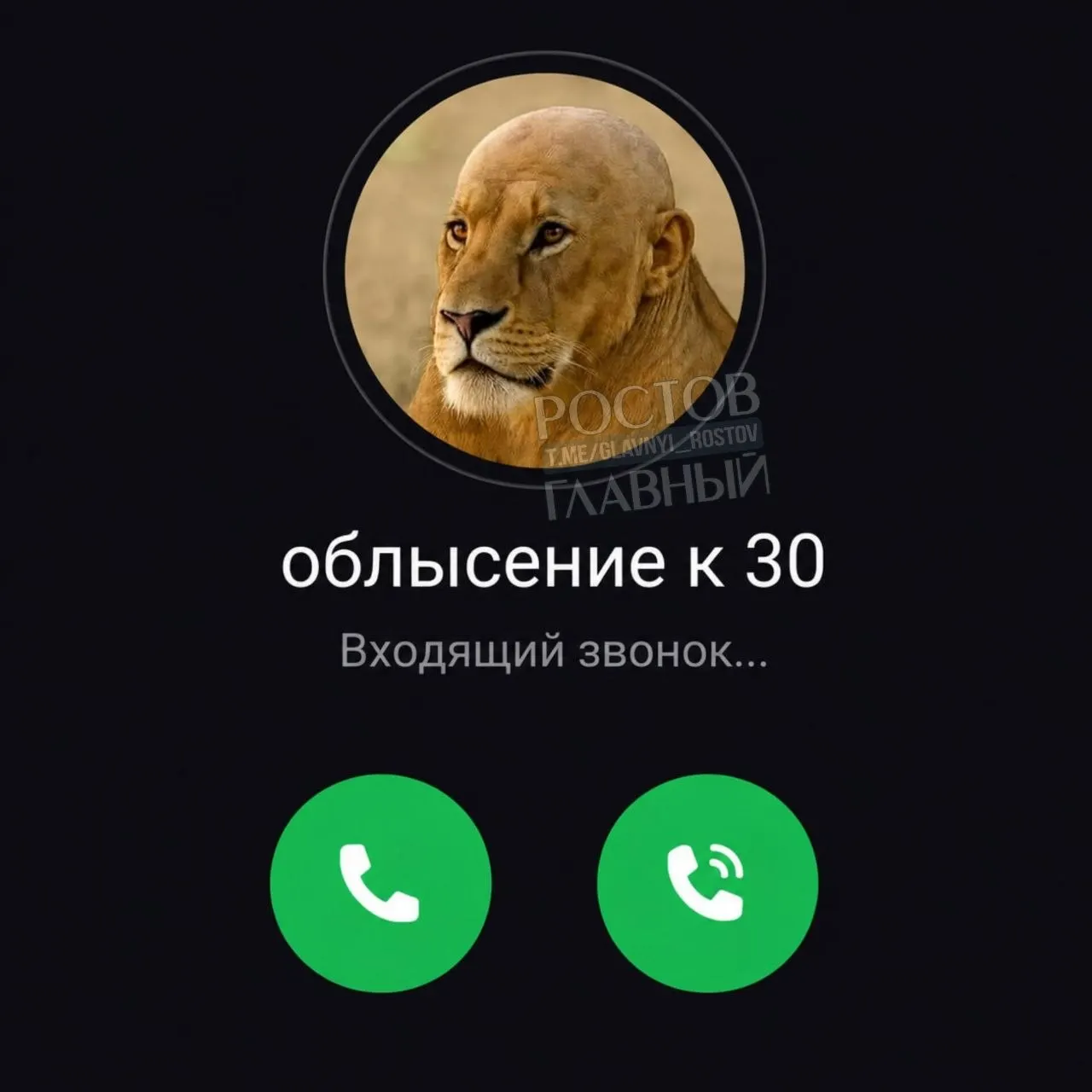 Медики отмечают учащение выпадения волос среди молодёжи — главные причины называют стресс, недосып и дефицит витаминов и микроэлементов.
