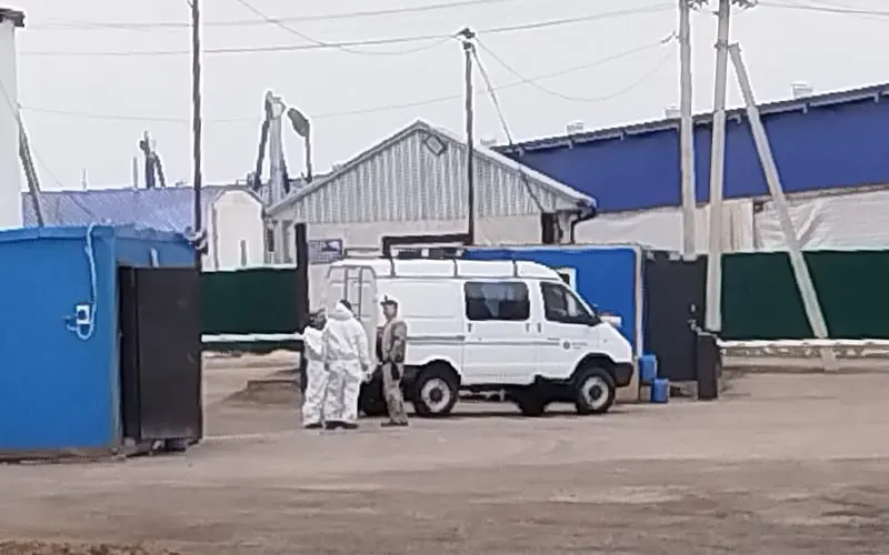 На молочном комплексе «Ваганово» в Кемеровской области подтвердили вспышку нодулярного дерматита у коров. Ведётся работа с ветеринарными службами, местные жители сообщают об ограничениях на транспортировку и продажу скота.