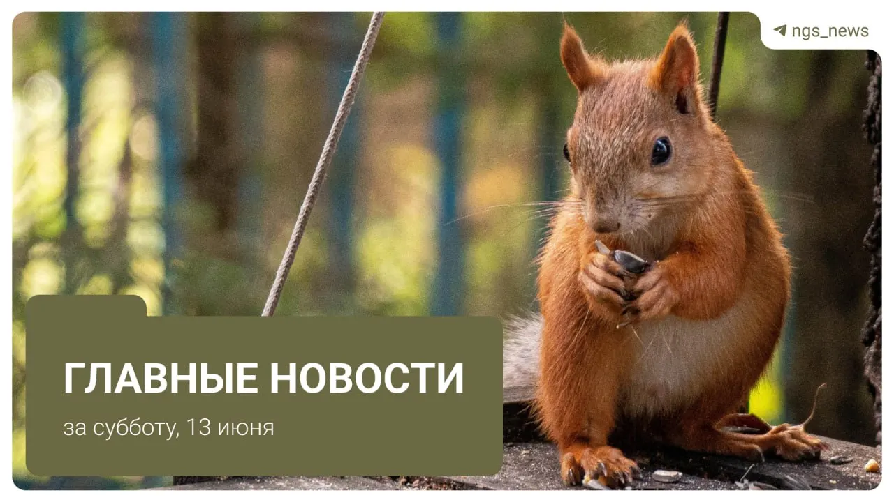 Короткие сводки: жители направили более тысячи обращений в ГЖИ, на Дуси Ковальчук вырубили свыше сотни деревьев, в СНТ обсуждают звуки, похожие на стрельбу, а также нет средств на продление Фрунзе; отмечают рост родов после 50 лет.
