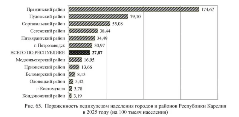 За год число случаев паразитарных инфекций в регионе увеличилось на 17,6% — зарегистрировано 2 314 заболевших, подавляющее большинство — дети.