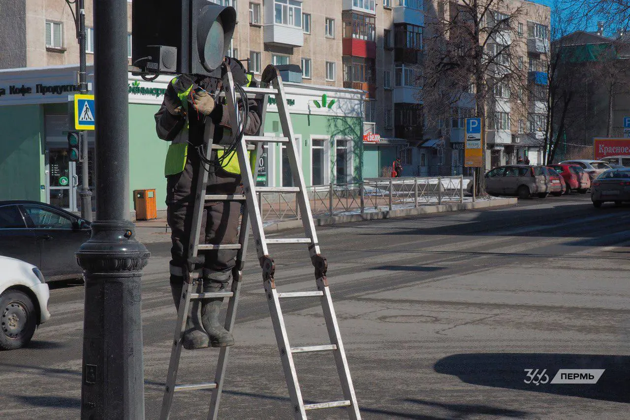 В Перми за день: женщины спасли раненую овцу, в новой художественной галерее снова случился потоп, жители заметили пролёты беспилотников, а врачи зарегистрировали более 11 тысяч обращений из‑за присасывания клещей.