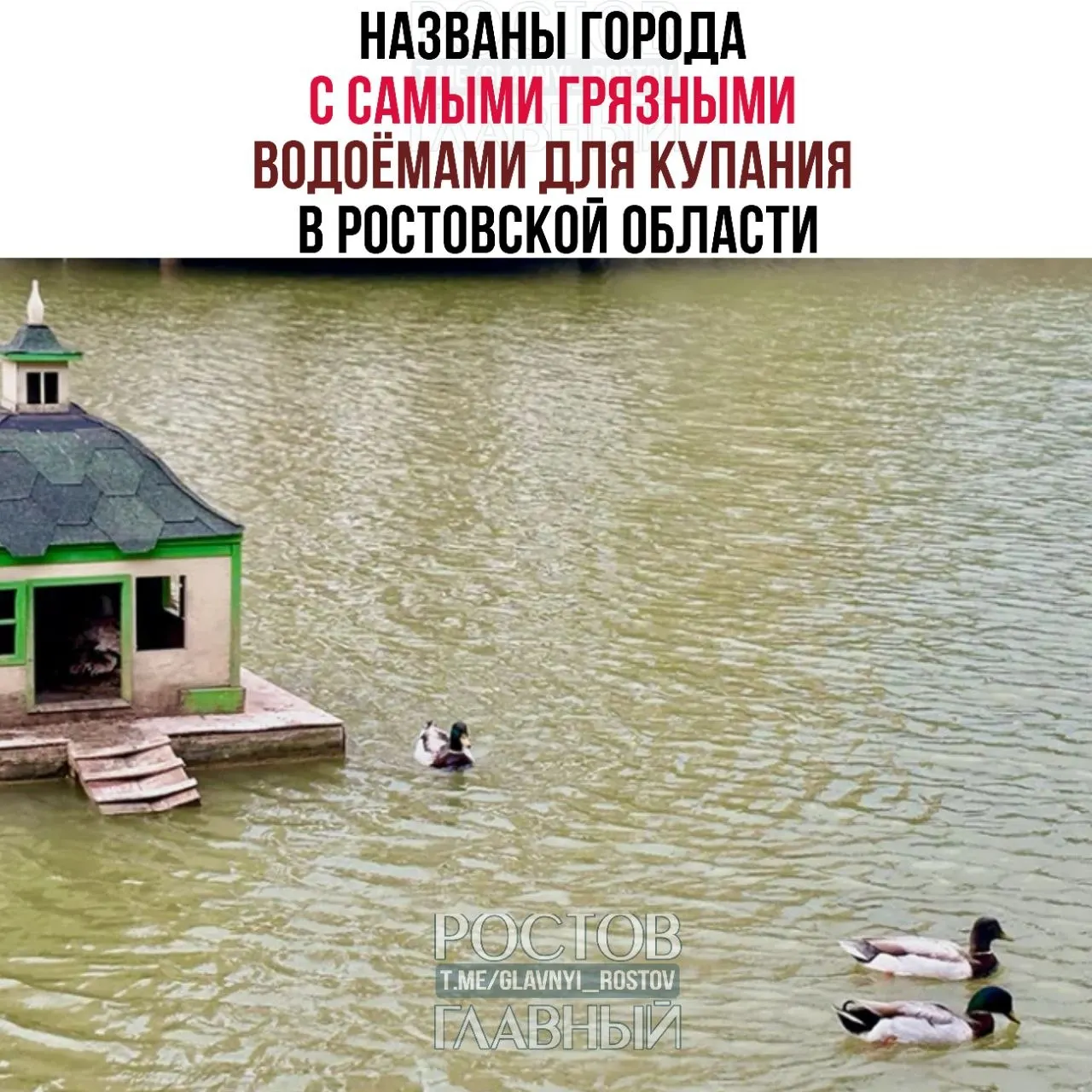 Лабораторные пробы показали: в Азове 87% образцов воды признаны неблагополучными по микробиологическим показателям. Высокие уровни загрязнений также зафиксированы в Батайске, Шахтах, Ростове и Гуково.