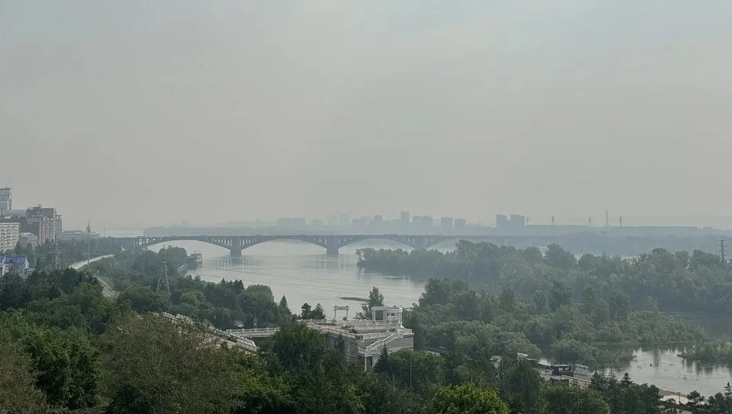 В Красноярском крае зафиксировано 88 лесных пожаров на площади более 62,6 тыс. га; дым и запах гари ощущают в нескольких городах. Эколог объясняет, какие вещества опасны для здоровья и какие меры принять.