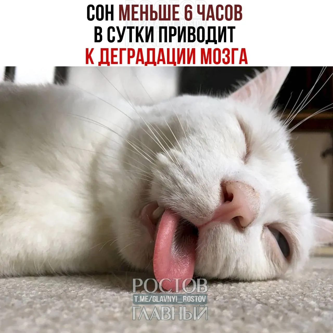 Нехватка сна снижает концентрацию, креативность и способность принимать обдуманные решения — это влияет на префронтальную кору и повышает импульсивность.