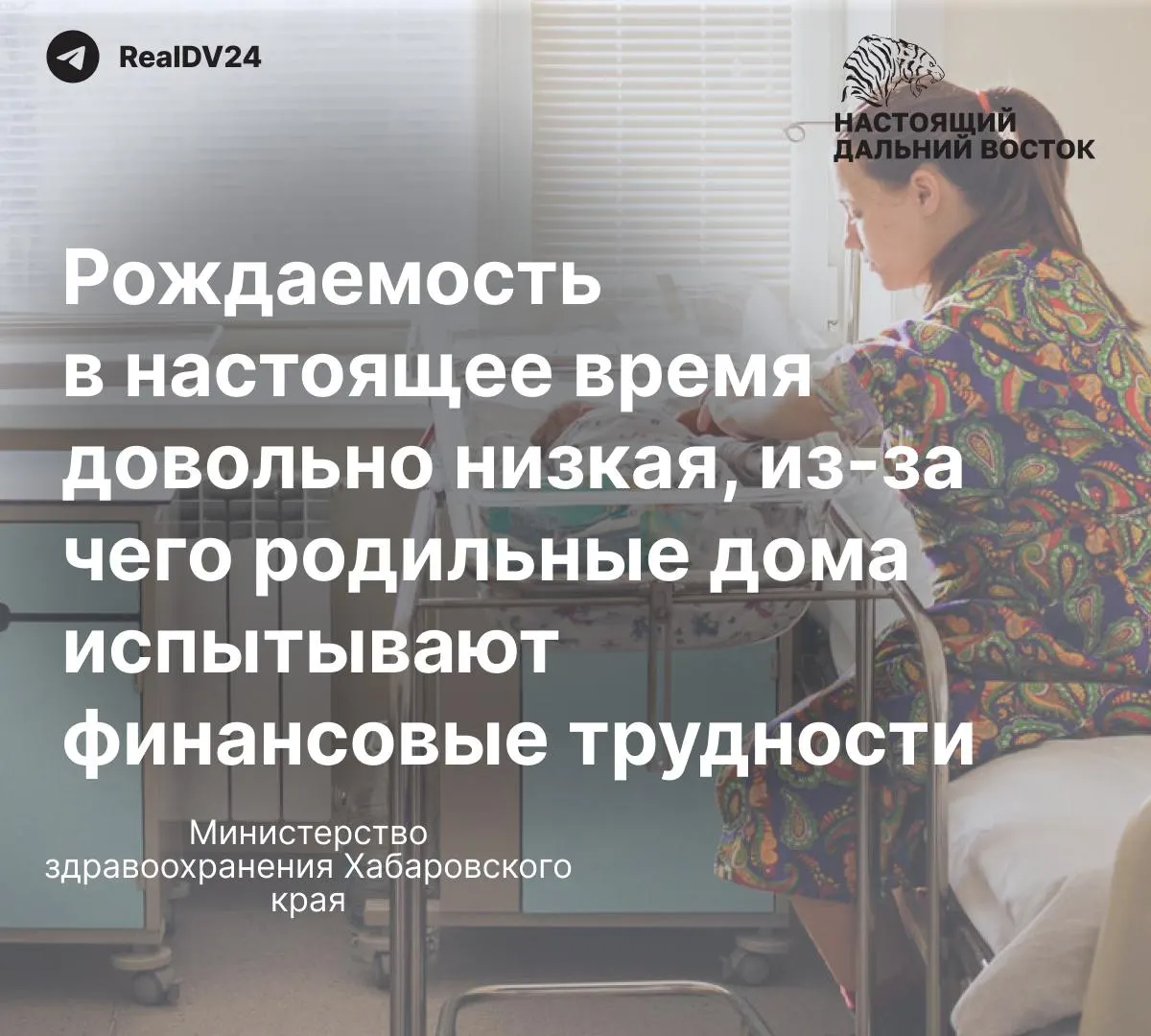 Жительница Хабаровска пожаловалась на отсутствие сидений унитазов и сломанный смеситель в душевой роддомов. В Минздраве заявили, что финансирование зависит от числа родов и пообещали ремонт только в 2026 году, что вызвало возмущение пациенток.