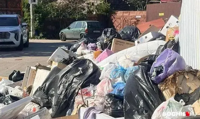Суд установил, что перенакопление отходов на контейнерных площадках в Сочи создаёт риск массовых инфекционных заболеваний и подтвердил необходимость действий со стороны властей по уборке и дезинфекции.