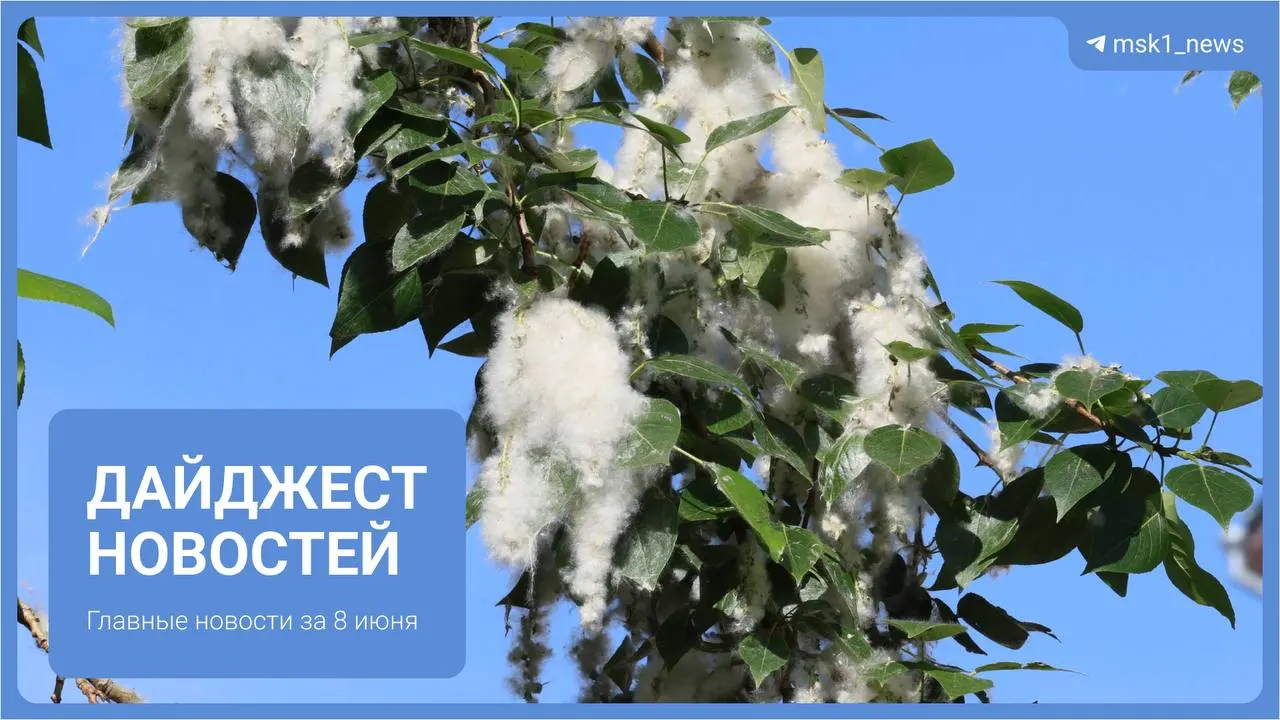 Короткий обзор ключевых событий: масштабная реновация в Богородском, вырубка части Троицкого лесопарка, актёр Дмитрий Позднов в реанимации, массовая драка подростков и открытие станции «Звенигородская» этой осенью.