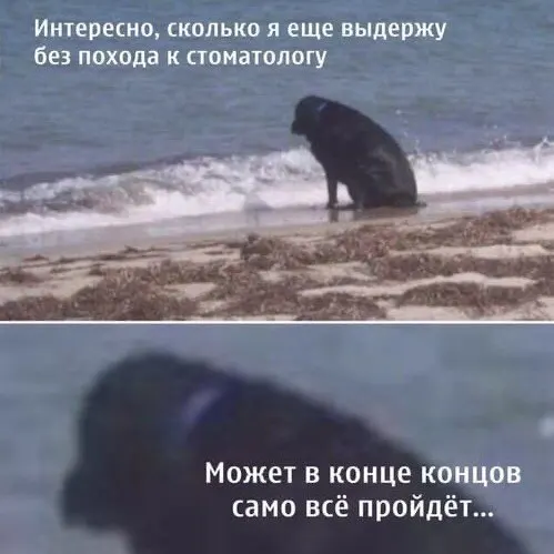 По итогам 2025 года Карелия опустилась до 60-го места в региональном рейтинге благосостояния семей. В семьях с двумя детьми остаётся около 29,1 тыс. ₽ в месяц, с одним ребёнком — около 48,6 тыс. ₽. Стоимость медицинских услуг в республике выросла на 17,7%.