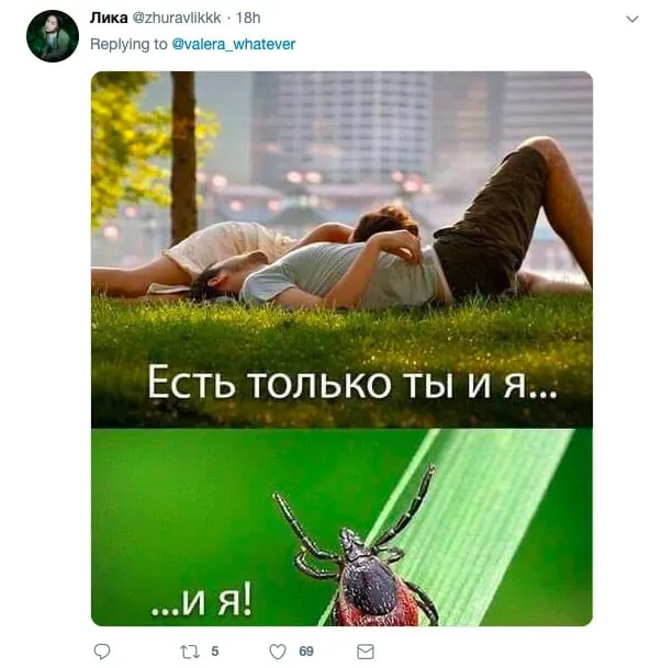 С начала сезона в регионе зарегистрировано 5 997 обращений по укусам клещей; 1 515 из них — в Барнауле. У 147 человек есть подозрение на сибирский клещевой тиф.