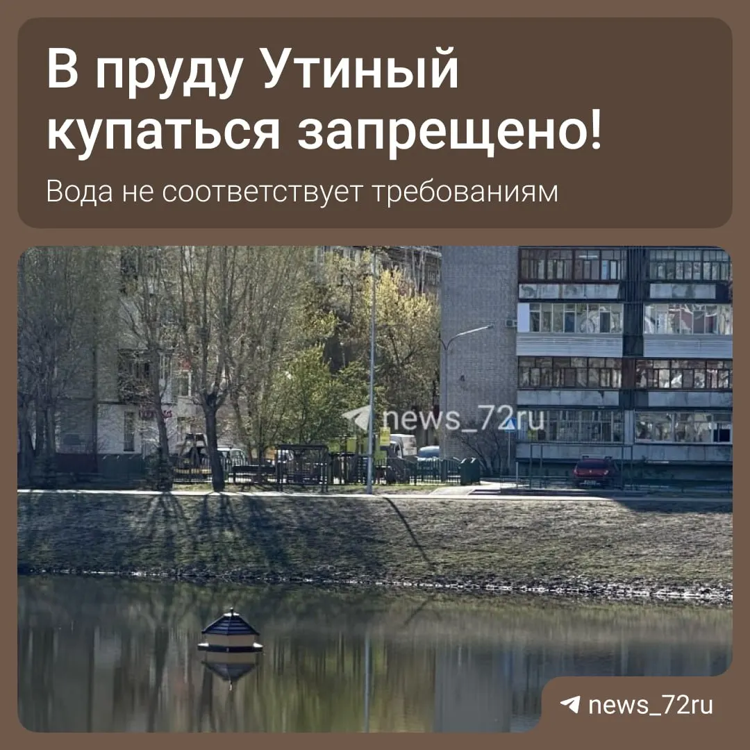 Роспотребнадзор отобрал пробы в карьере «Утиный». По результатам лаборатории вода не соответствует требованиям санитарного законодательства, купание временно запрещено.