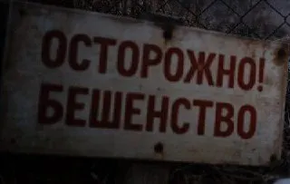 В Пинигино обнаружили животное, инфицированное бешенством; власти установили карантин на два месяца. Ранее в Кемеровской области сняли ограничения сразу в шести территориях.