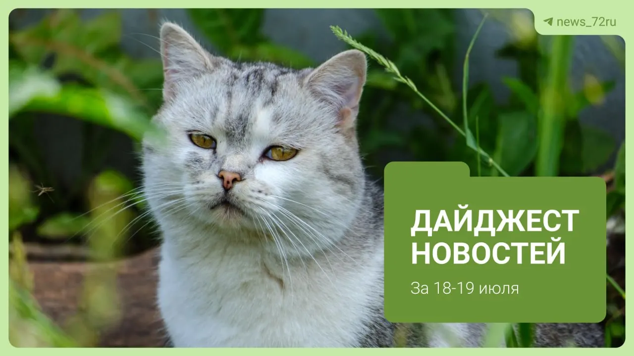 Кратко о главных событиях региона: конфликт на автозаправке, изменения в медучреждениях, ЧП и городские мероприятия.