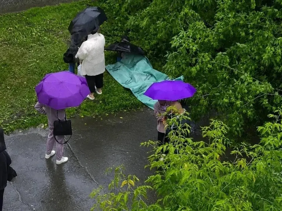 Во дворе дома на улице Крисанова во время ливня на десятилетнего ребёнка упало дерево. Его доставили в больницу в состоянии средней тяжести, Следственный комитет возбудил уголовное дело.