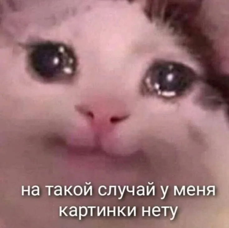 Руководство региона попыталось потребовать с бывшего водителя компенсацию за повреждённый служебный автомобиль после ДТП 2023 года. Суд отклонил иск: истёк срок, а у водителя — сложная семейная ситуация.