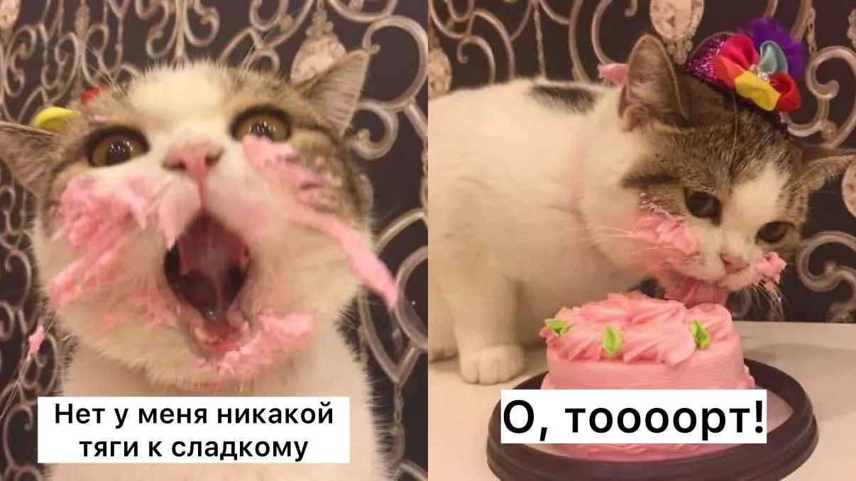 Навязчивая потребность в сладком часто связана с попытками организма получить быстрый выброс дофамина и временно снять эмоциональный дискомфорт; если тяга иррациональна и компульсивна, это тревожный сигнал.