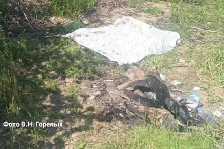 У Бисертского пруда четверо мужчин получили ожоги после того, как попытались проверить запах газа в палатке зажигалкой: произошёл хлопок и возгорание, все пострадавшие госпитализированы.
