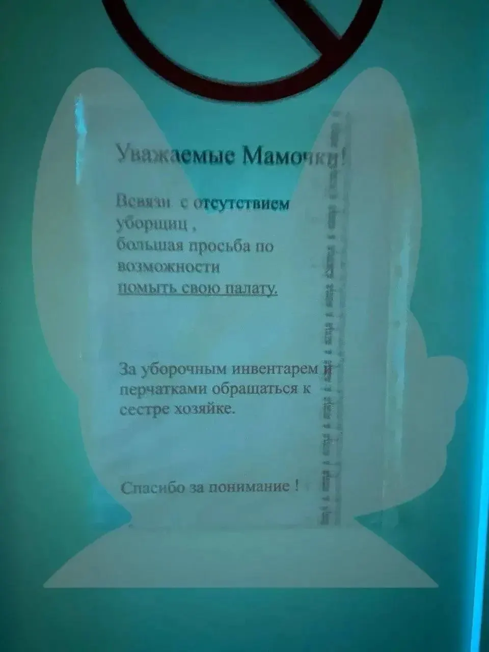 Родители рассказывают о насекомых в палатах, комарах, пыли и необходимости самостоятельной уборки, а также об отсутствии обеда в первый день пребывания.
