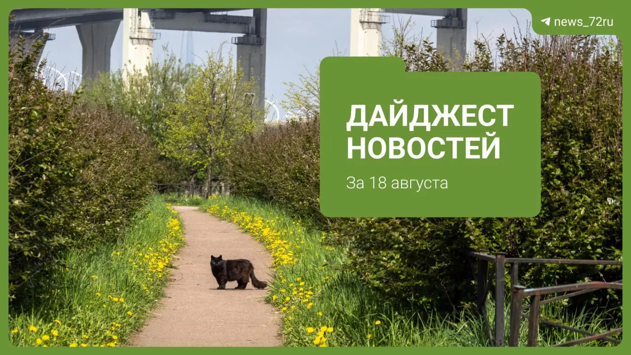 Ключевые заметки дня: попытки некоторых жителей устроиться в колледж, ДТП, перерасчеты за воду, фестиваль и другие события региона.