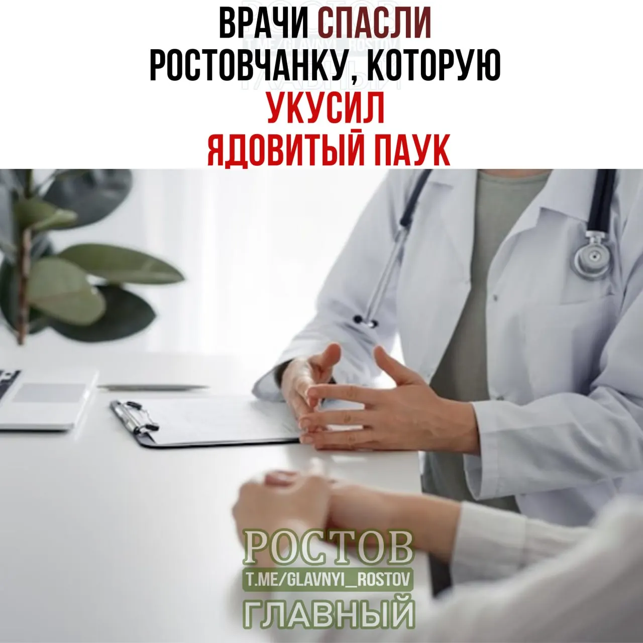 Женщина получила укус ядовитого паука на веранде. Врачи оказали помощь, пациентка вернулась домой.