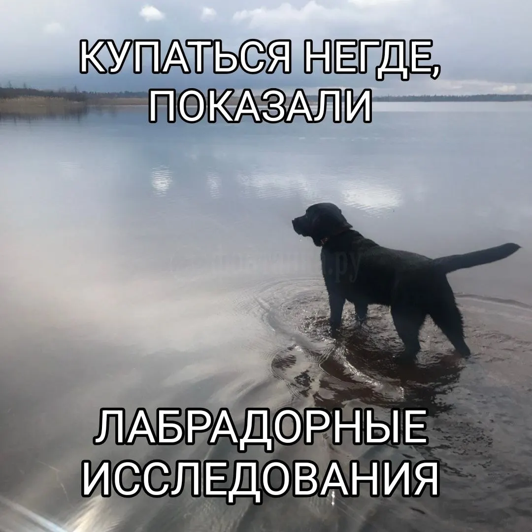 По состоянию на 6 августа ни один водоём не соответствует санитарным нормам, сообщили в Роспотребнадзоре.