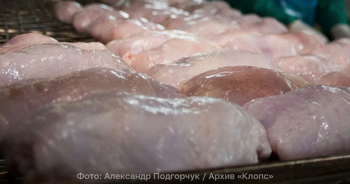 Крупная партия курятины задержана на Калининградском порту из-за несоответствия документов; образцы направлены на экспертизу, груз временно хранится.