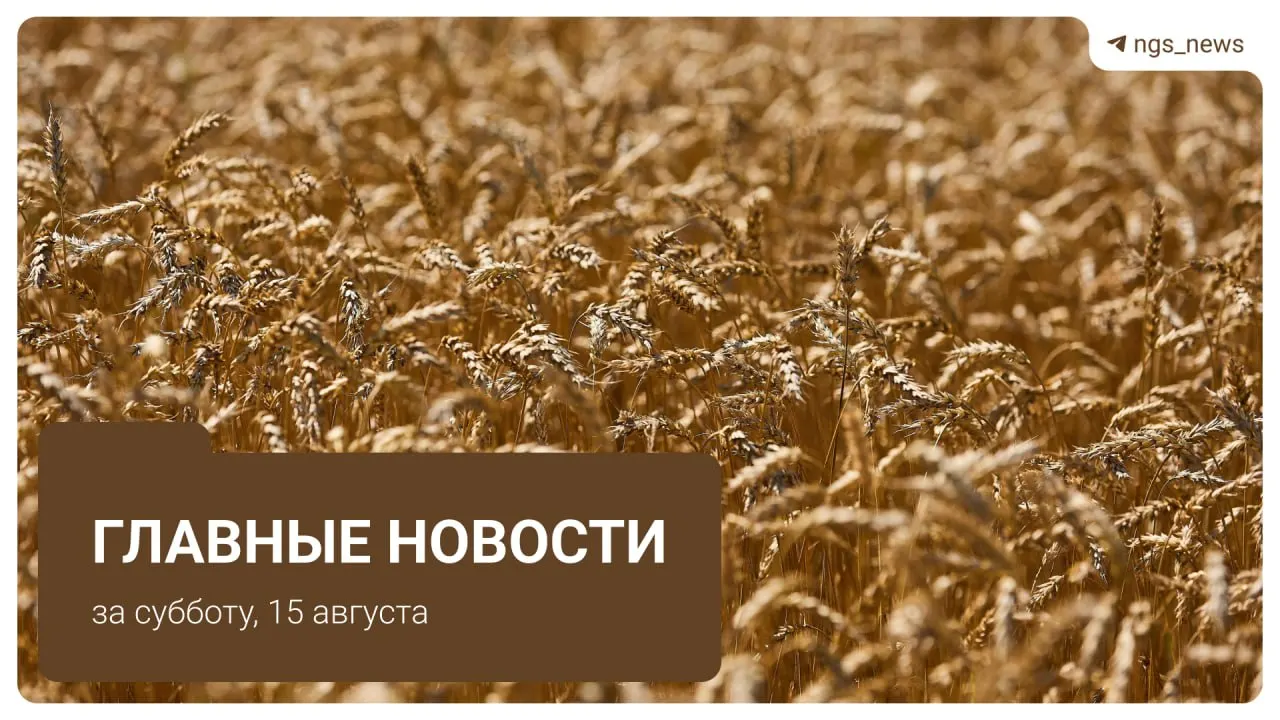 Коротко о главном: повреждение тротуара, задержки пассажирских рейсов и инциденты на парковке.