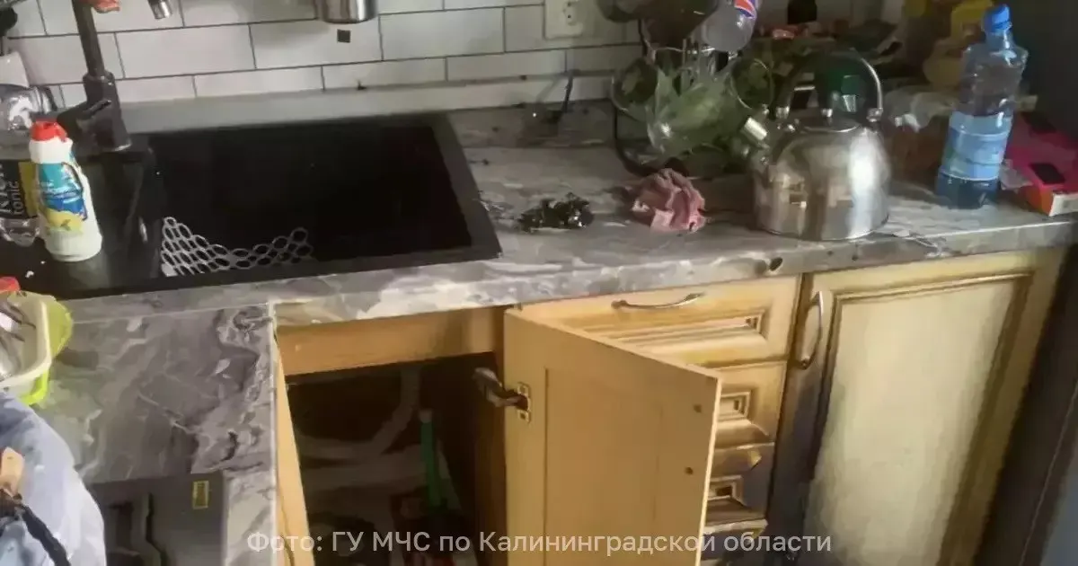 Пожар на кухне у женщины пенсионного возраста в Калининграде привёл к ожогам; пострадавшая госпитализирована в больницу.