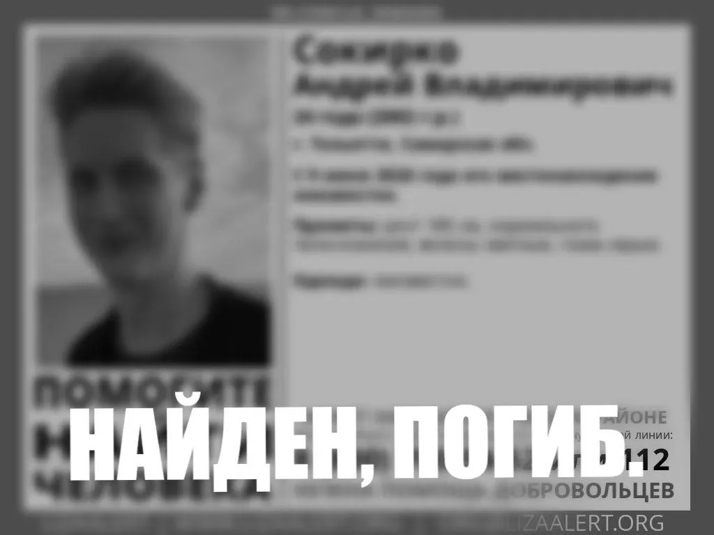 24-летний врач-педиатр пропал два месяца назад; тело обнаружено в лесном массиве возле Тольятти, причина смерти устанавливается.