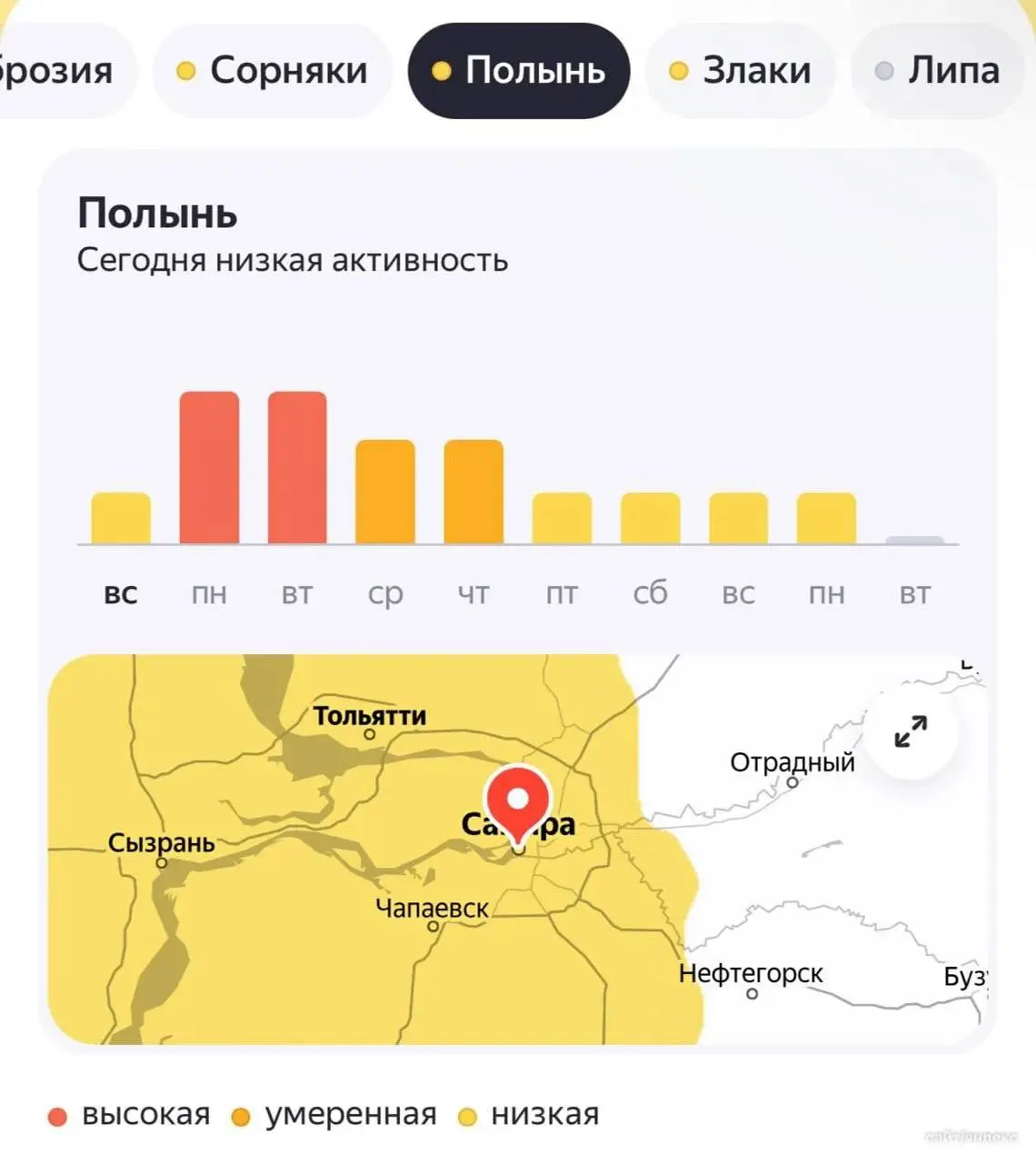 Очередная волна пыльцы накрыла регион: главные раздражители — амброзия, полынь и злаки, что усиливают симптомы аллергии.