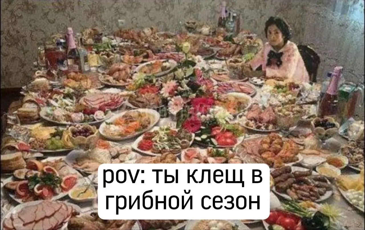 За неделю в регионе зафиксировано 1292 случая укусов клещей: 79% — Ленобласть, около 12% — Санкт-Петербург, 8,8% — другие регионы, 0,4% — завезены из-за границы.