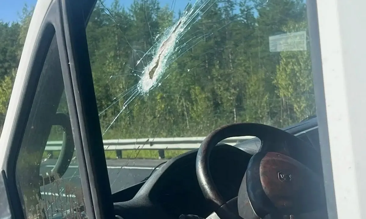 После попадания детали во время движения врачи провели многочасовую операцию по восстановлению лица; состояние пострадавшего остаётся тяжелым.