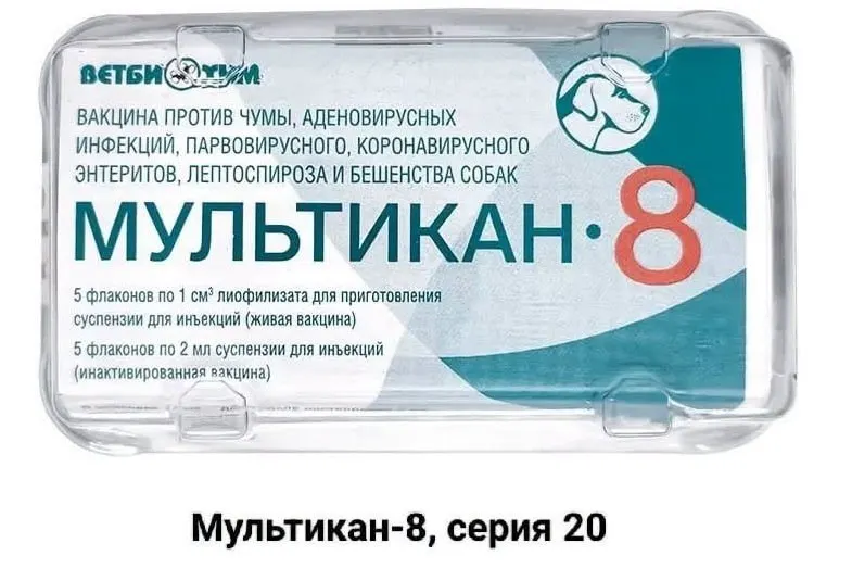 После вакцинации препаратом «Мультикан-8» зафиксированы гибели собак; начато расследование. Информация поступает из нескольких регионов; причины пока не установлены.