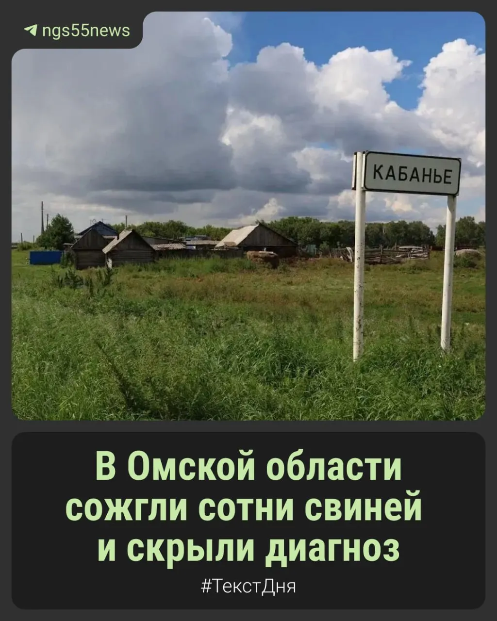 Инфекция охватила 12 районов региона, в том числе Калачинский; официальные источники не раскрывают диагноз, ведётся расследование ветеринаров.