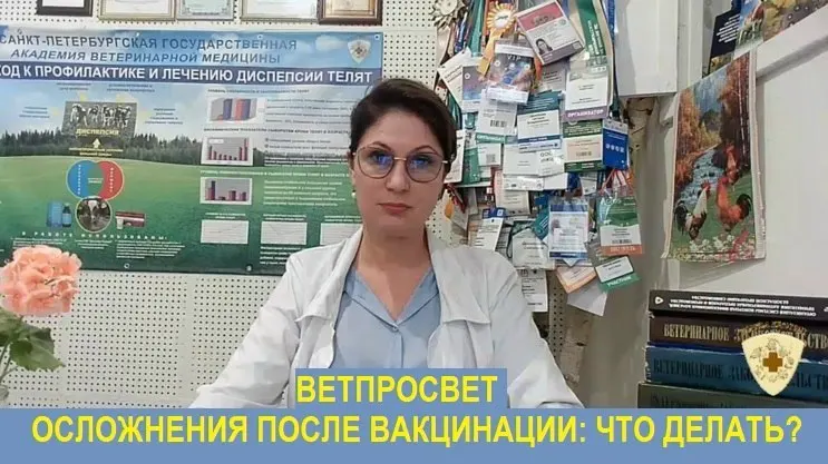 Эксперт по эпизоотологии сталкивается с давлением уйти в отставку после публикации инструкций для владельцев животных, пострадавших от прививки Мультикан-8; ситуация вызывает вопросы о вмешательстве органов власти в ветеринарную практику.