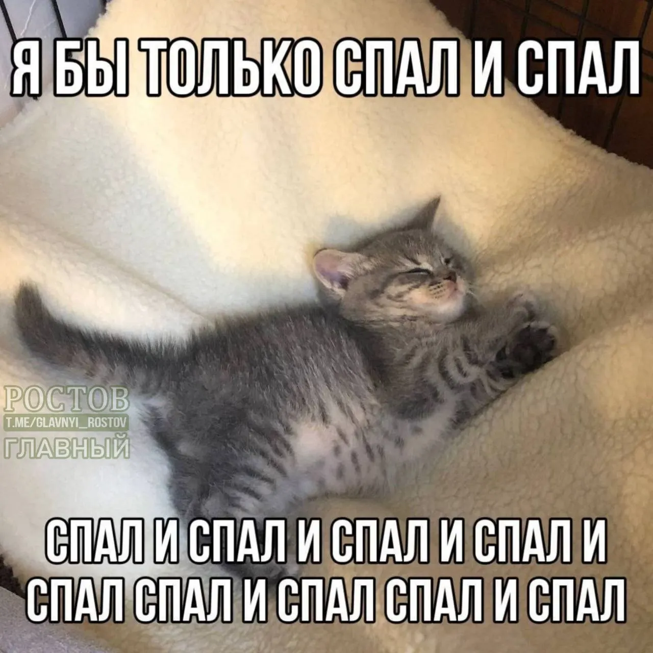 Новое исследование на сотнях тысяч участников показывает, что как недосып, так и избыточный сон связаны с ускорением биологического старения; оптимальный диапазон — примерно 6,5–7,8 часа.