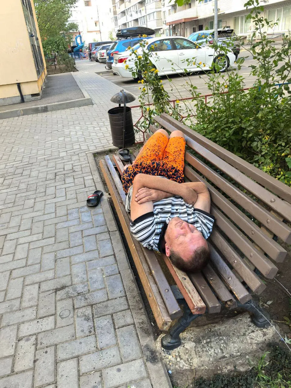 В Краснодаре в 2026 году планируется создание вытрезвителя: выделено 18,2 млн рублей, проект предусматривает одноэтажное здание на 20 мест.