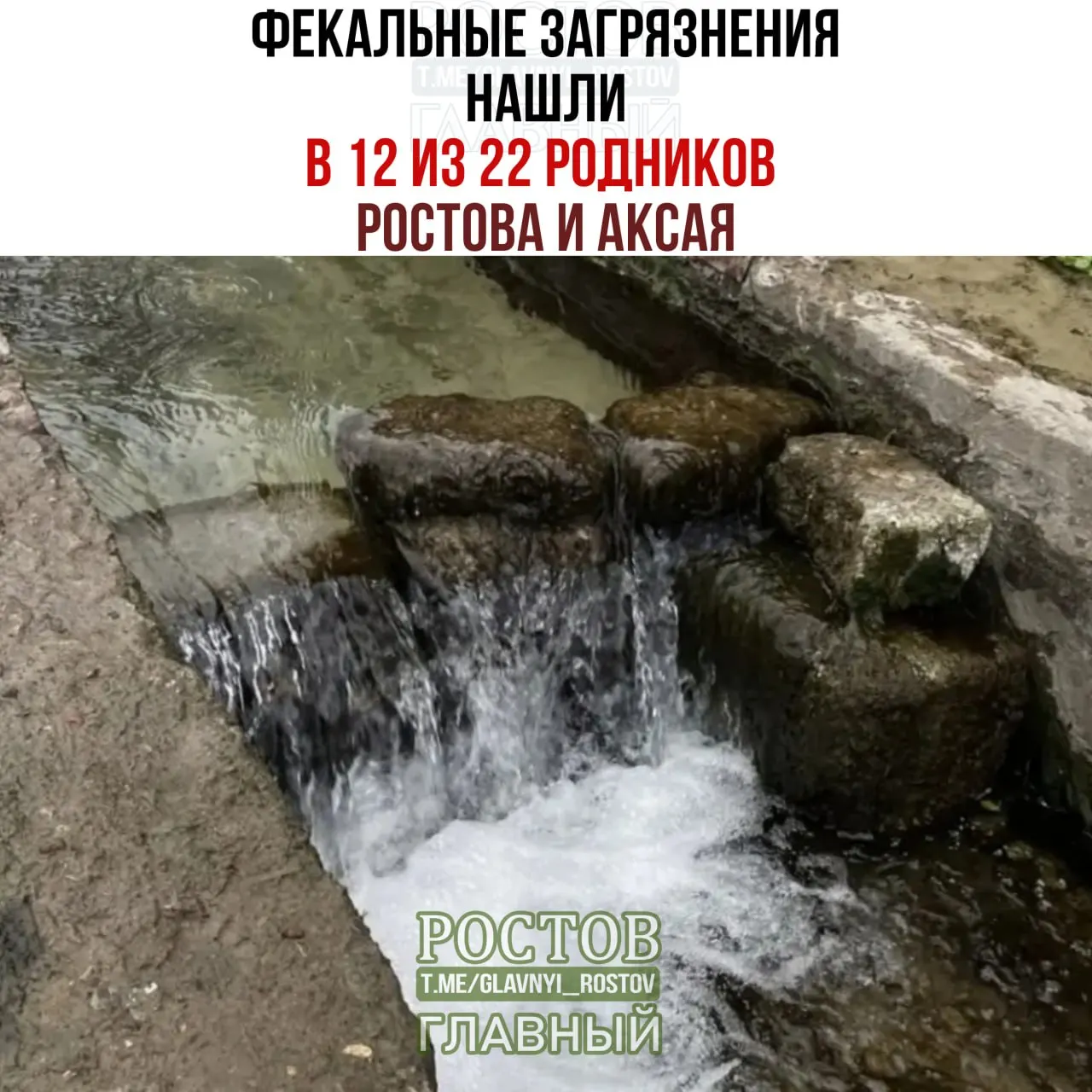 По итогам проверки 22 источников, 12 не соответствуют нормам; в одном зафиксировано 700 единиц кишечной палочки на 100 мл.