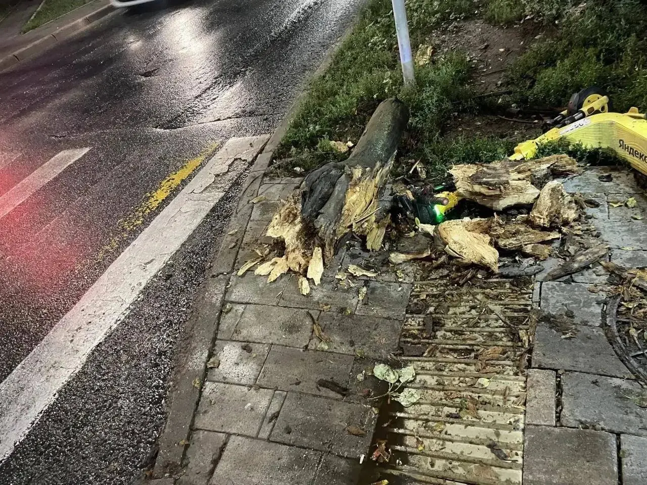 Дерево упало на школьницу в Самаре; пострадавшей потребовалась медицинская помощь. Инцидент произошёл вечером 8 сентября на улице Клинической.