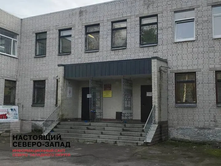В детской поликлинике Кировска одна медсестра обслуживает процедурный и прививочный кабинеты; из-за этого венозную кровь берут только три дня в неделю. Мать пытается разобраться, кто должен оплачивать поездку и сопровождение ребёнка в дороге.