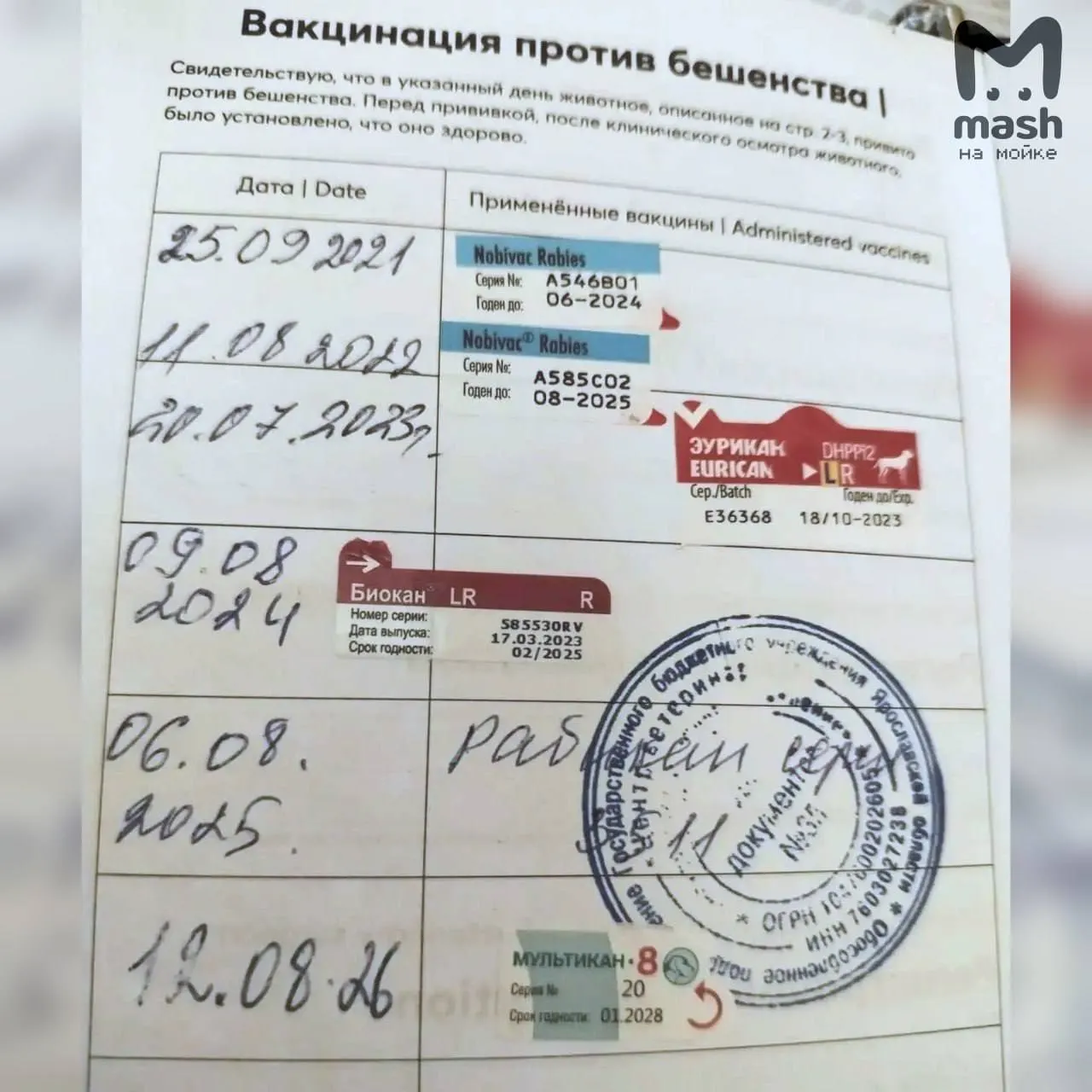 Зафиксированы случаи гибели собак после вакцинации комплексной вакциной против чумы плотоядных и бешенства. Производитель отозвал несколько серий, надзорные органы проводят проверки.