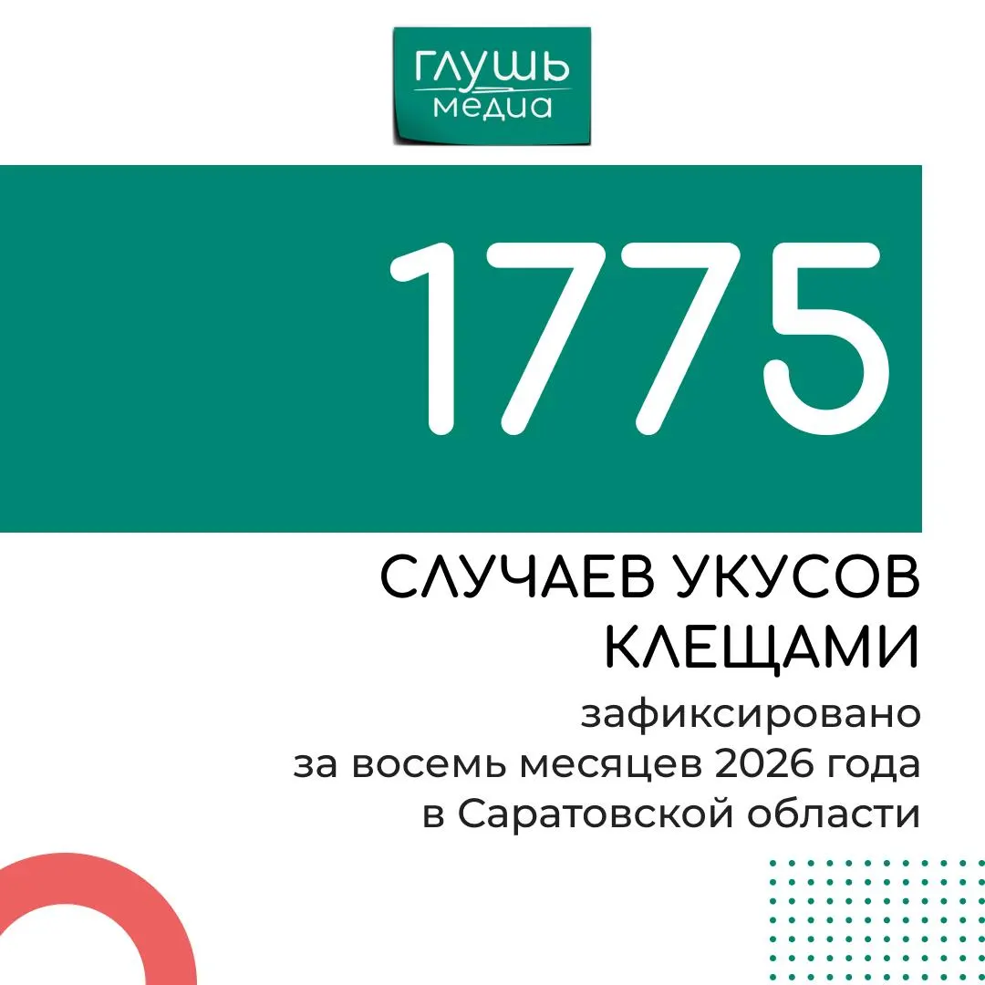Число обращений по поводу укусов клещей за восемь месяцев 2026 года выросло примерно вдвое по сравнению с аналогичным периодом 2025 года.