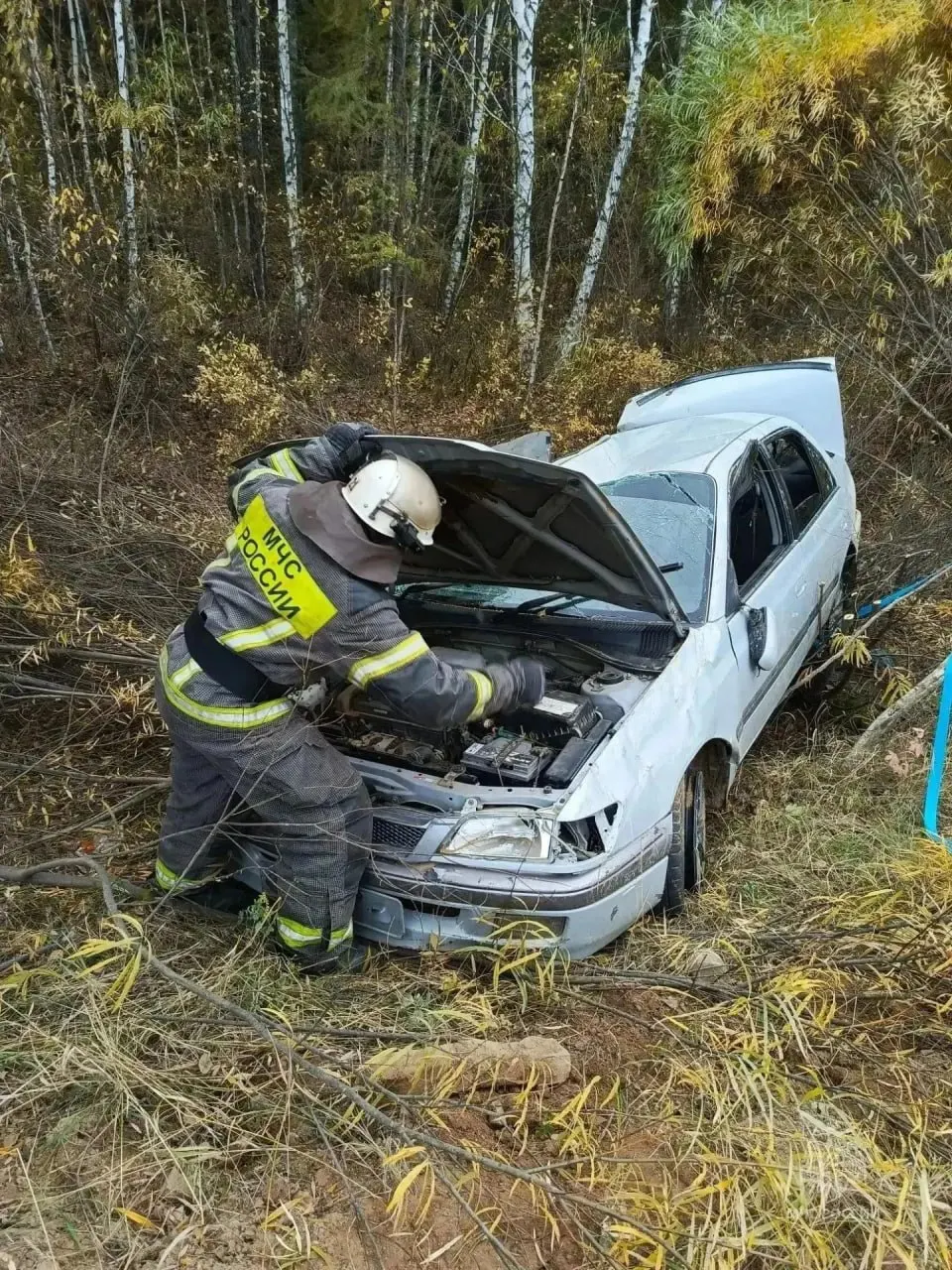 В ДТП в Приаргунском округеToyota Corolla вылетела с дороги и перевернулась; пострадал 7-летний мальчик, двое пассажиров госпитализированы. Спасатели отключили аккумулятор.